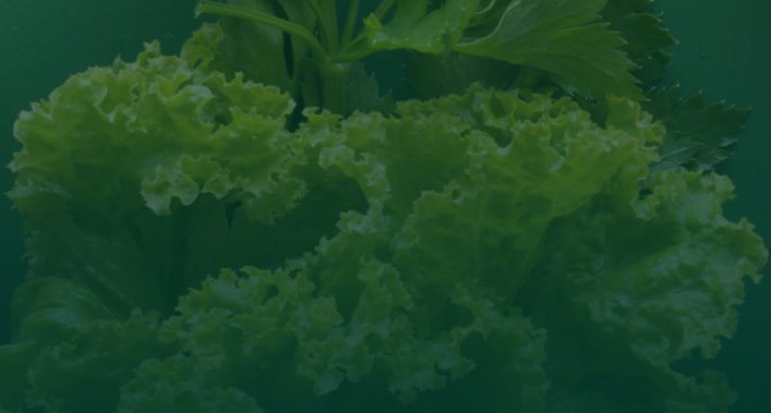 Blog Post image